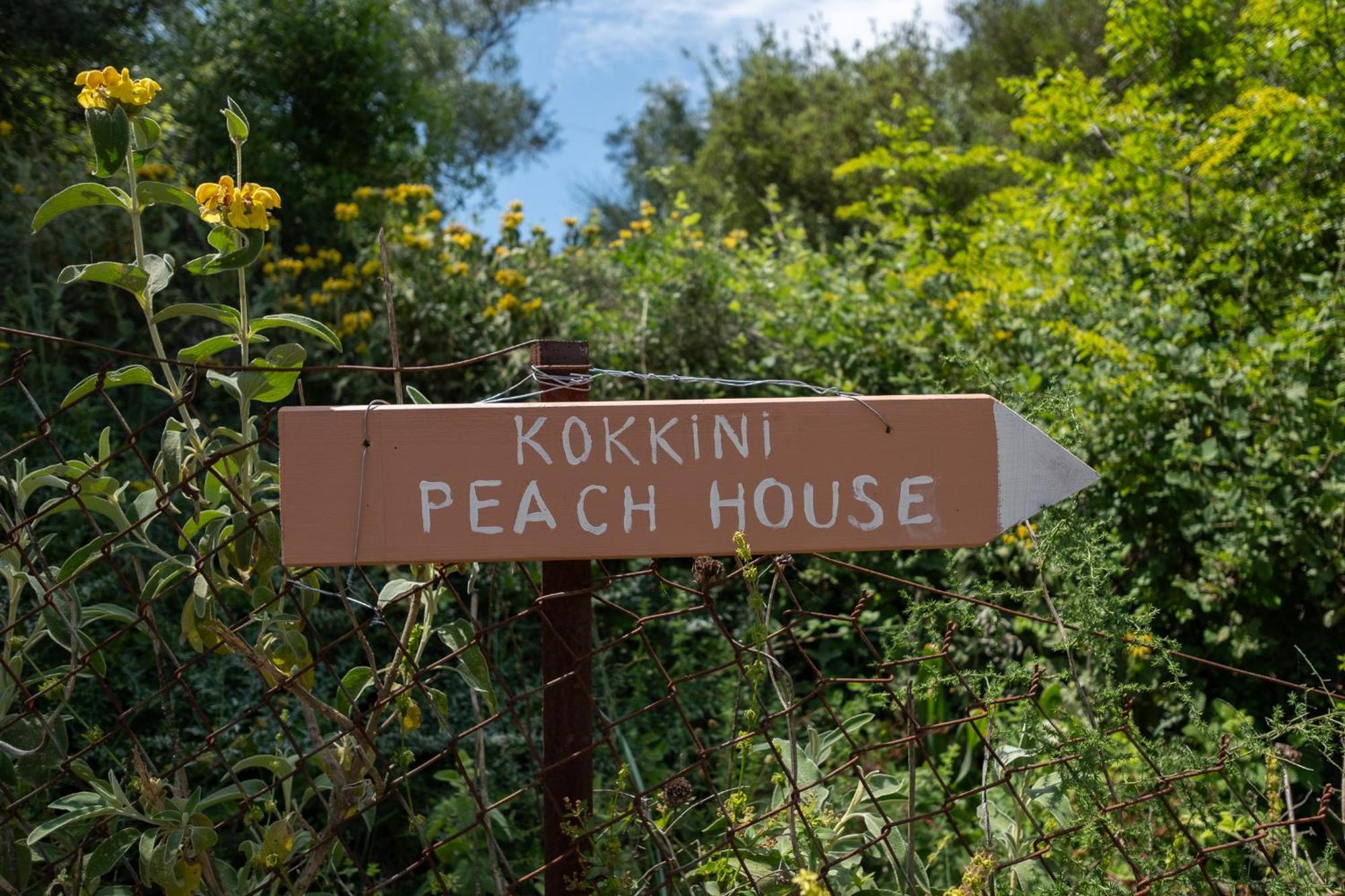 Apartamento Kokkini Peach House Kokkínion Exterior foto