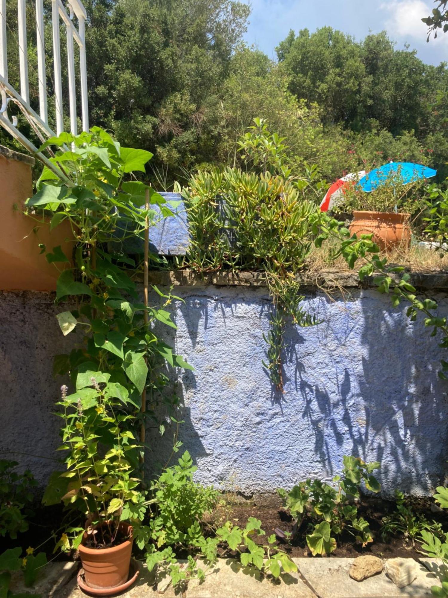 Apartamento Kokkini Peach House Kokkínion Exterior foto